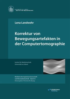 Korrektur von Bewegungsartefakten in der Computertomographie - Landwehr, Lena