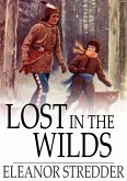 Lost in the Wilds (eBook, ePUB)
