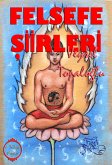 Felsefe Şiirleri (eBook, ePUB)