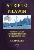 A Trip to Pilawin (eBook, ePUB)