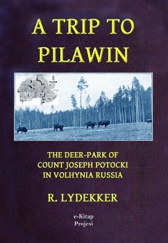 A Trip to Pilawin (eBook, ePUB) - Lydekker, R.