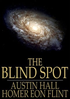 Blind Spot (eBook, ePUB) Cover Blind Spot (eBook, ePUB)