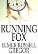 Running Fox (eBook, ePUB) - Bild 1