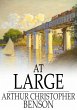At Large (eBook, ePUB) - Bild 1