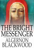 Bright Messenger (eBook, ePUB)