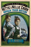 Nettie and Nellie Crook: Orphan Train Sisters (eBook, ePUB)