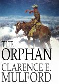 Orphan (eBook, ePUB)