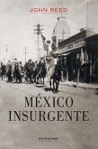 México insurgente (eBook, PDF)