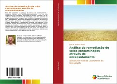 Análise de remediação de solos contaminados através de encapsulamento