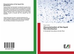 Characterization of the liquid film distribution - Cataldo, Filippo