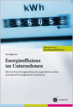 Energieeffizienz im Unternehmen - Kannegiesser, Matthias