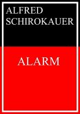 Alarm (eBook, ePUB)