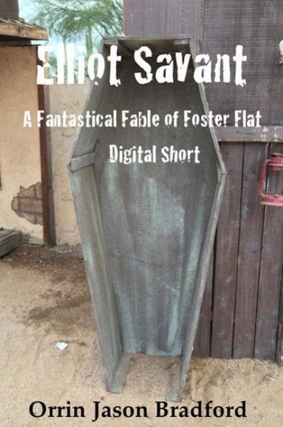 Elliot Savant (eBook, ePUB)