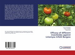 Efficacy of different insecticides against Liriomyza trifolii Burgess