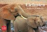 Elefanten in freier Wildbahn (Tischkalender 2016 DIN A5 quer) - Stanzer, Elisabeth