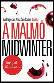 Malmoe Midwinter (eBook, ePUB)