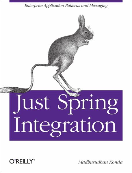 Just Spring Integration (eBook, ePUB)
