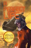 A Perfect Life (eBook, ePUB) A Perfect Life (eBook, ePUB)