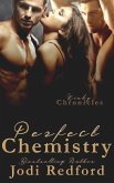 Perfect Chemistry (Kinky Chronicles, #1) (eBook, ePUB)