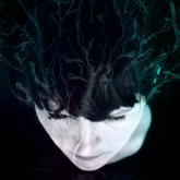 While We Still Have Light While We Still Have Light