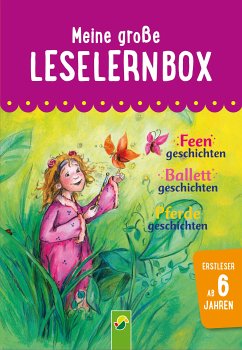 Meine große Leselernbox: Feengeschichten, Ballettgeschichten, Pferdegeschichten (eBook, ePUB) - von Kessel, Carola; Breitenborn, Anke