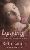 A Labyrinth of Love and Roses (The Touchstone Series, #4) (eBook, ePUB)
