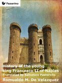 History of the young king Francesco II of Naples (eBook, ePUB)