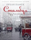 Стамбул. (eBook, ePUB)