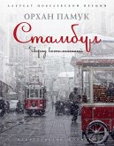 Istanbul (eBook, ePUB)