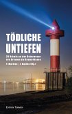 Tödliche Untiefen (eBook, ePUB)