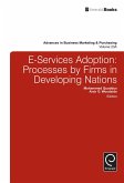 E-Services Adoption (eBook, ePUB)