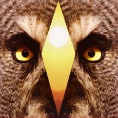 Sleepy Son - Fuck Buttons