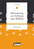 Bilanzierung von Software nach BilMoG (eBook, PDF)