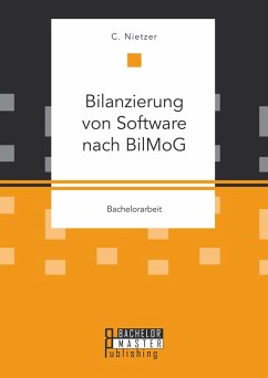 Cover Bilanzierung von Software nach BilMoG (eBook, PDF)