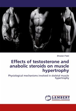 Effects of testosterone and anabolic steroids on muscle hypertrophy