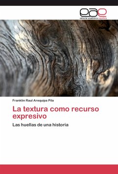 La textura como recurso expresivo - Arequipa Pila, Franklin Raul