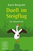 Duell im Steigflug / Tom & Rio Bd.3 (eBook, ePUB)
