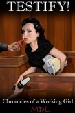 Testify! (eBook, ePUB)