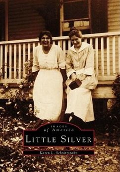 Little Silver - Schnitzspahn, Karen L.