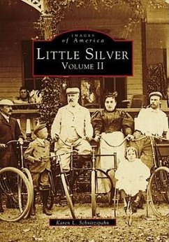 Little Silver: Volume II - Schnitzspahn, Karen L.