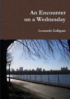 An Encounter on a Wednesday - Galligani, Leonardo