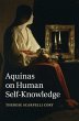 Aquinas on Human Self-Knowledge - Bild 1