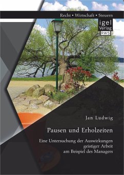 Pausen und Erholzeiten: Eine Untersuchung der Auswirkungen geistiger Arbeit am Beispiel des Managers (eBook, PDF) - Ludwig, Jan