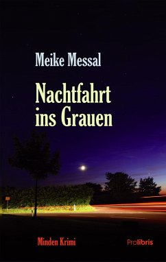 Nachtfahrt ins Grauen (eBook, ePUB) - Messal, Meike
