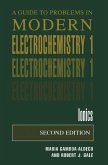 A Guide to Problems in Modern Electrochemistry 1 (eBook, PDF)