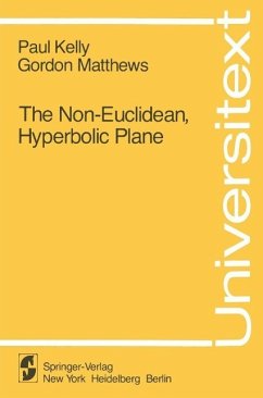 The Non-Euclidean, Hyperbolic Plane (eBook, PDF) - Kelly, P.; Matthews, G.