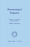 Phenomenological Perspectives (eBook, PDF)