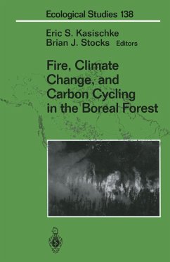 Cover Fire, Climate Change, and Carbon Cycling in the Boreal Forest (eBook, PDF)