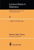 Extreme Value Theory (eBook, PDF)