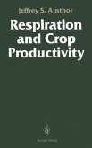 Respiration and Crop Productivity (eBook, PDF)